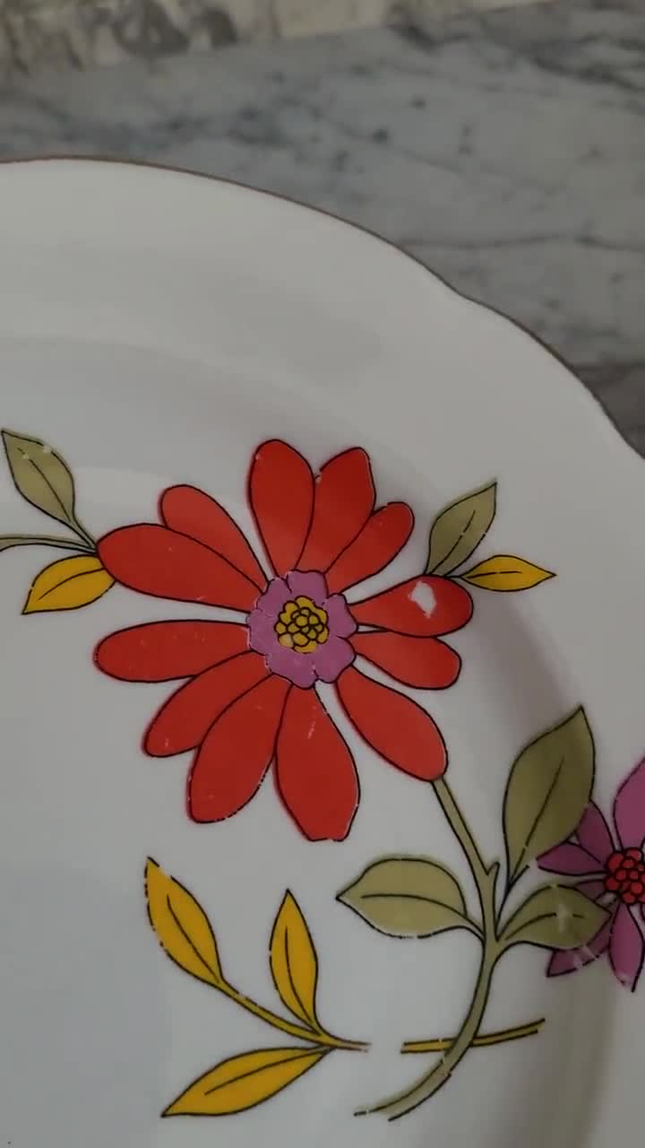 ヴィンテージパスタプレート2枚/ディナープレート/ディーププレート