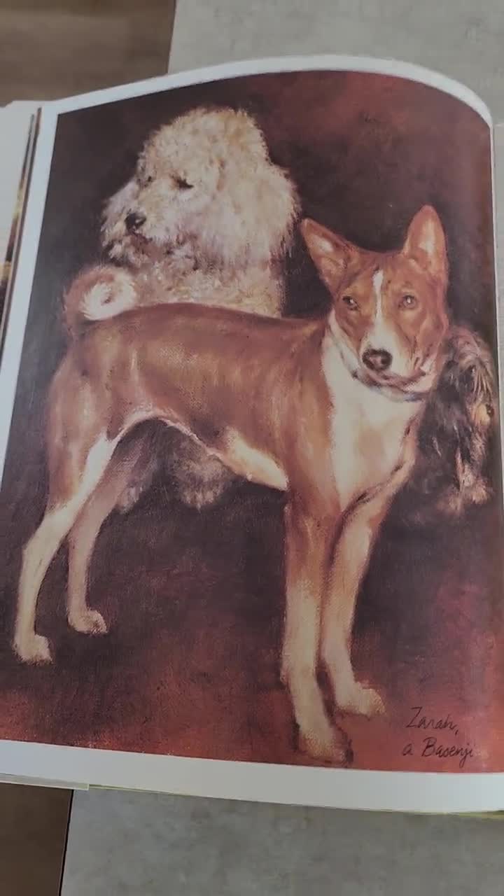 Rien Poortvliet Dogs Hardback Book With Dust Jacket