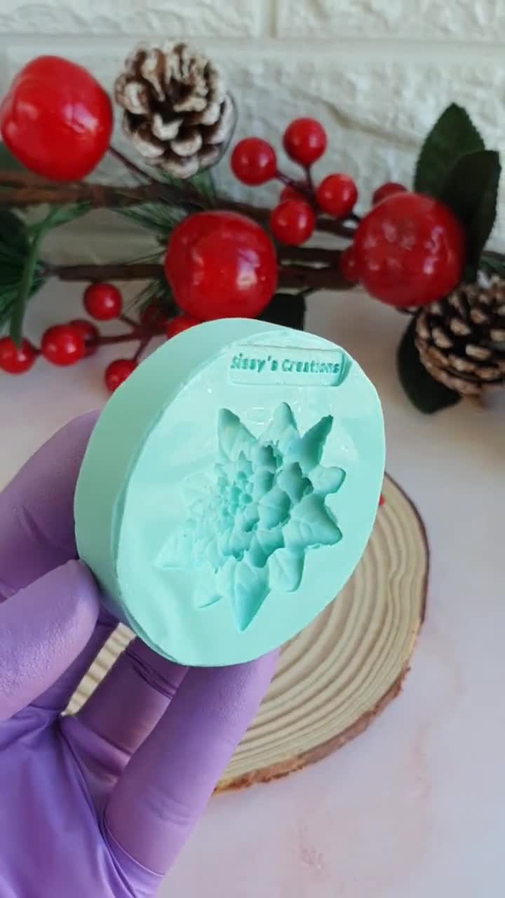 Stampo per orecchini in resina a forma di stella e luna stampi