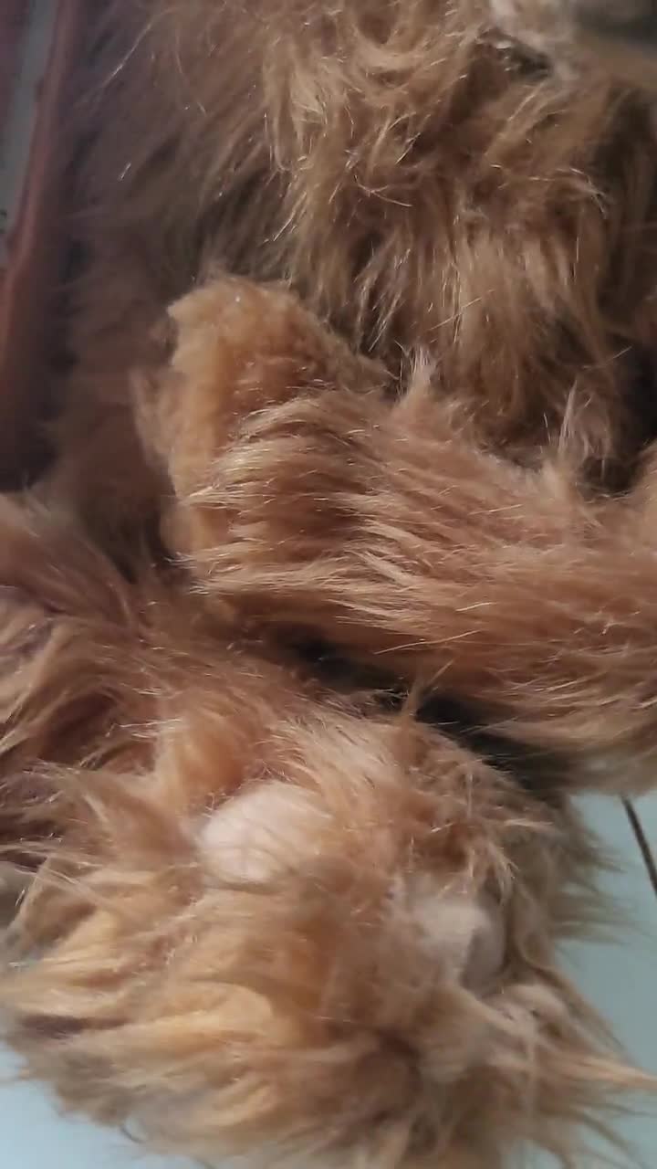 The Alf Phone Vintage 1988 the Alf Sitcom - Plush - Model 618S - Etsy