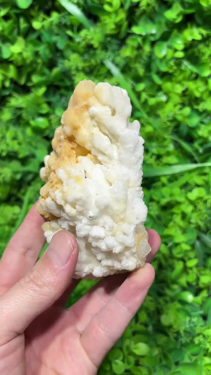 4.5インチ 天然方解石鍾乳石結晶標本 原石装飾 - Etsy 日本