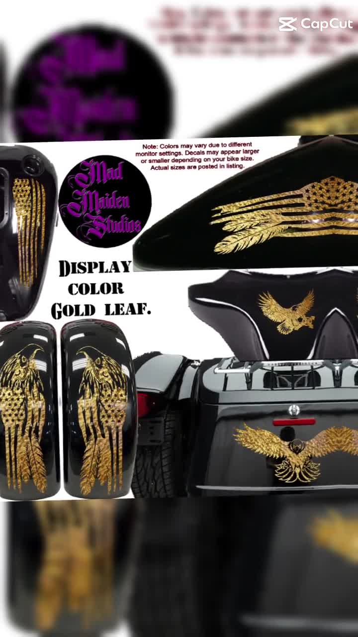 Motorcycle pinstripe decal vinyl set Universal, Honda, Harley, Victory,  Yamaha