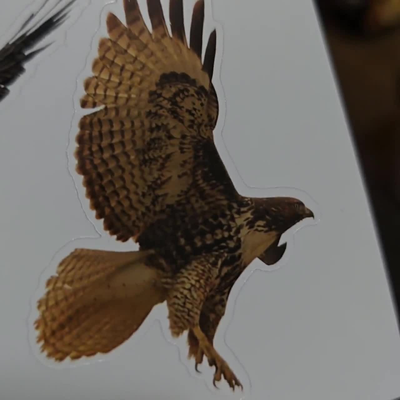 Tribal Adler Weißkopfadler Eagle Wohnmobil Aufkleber Caravan Sticker