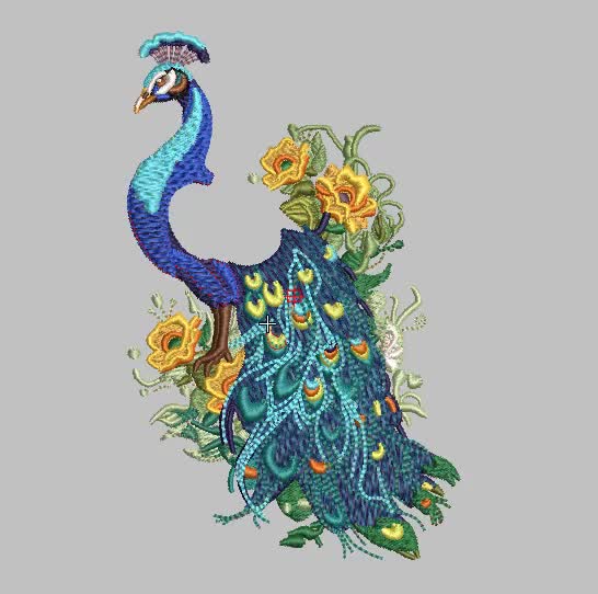 美しい孔雀 - 孔雀のデザイン - 鳥の刺繍 - 機械刺繍 - デジタル
