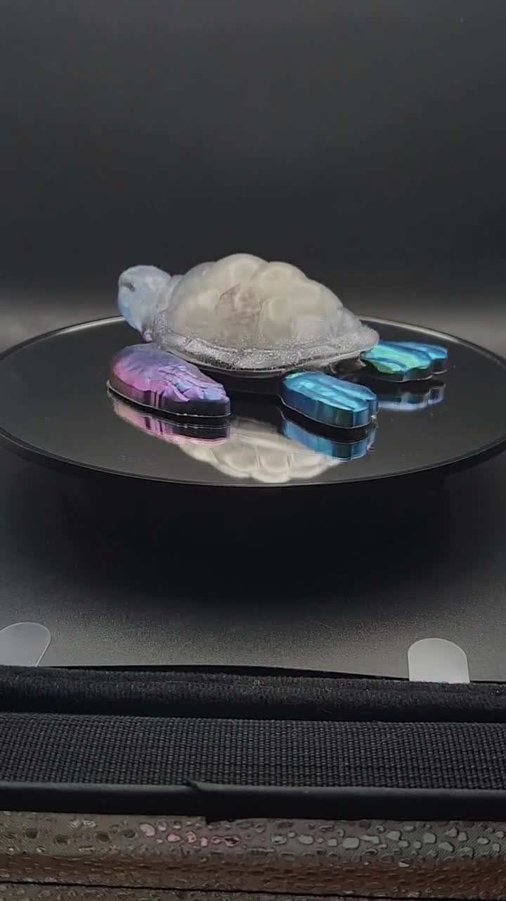 虹色の樹脂製カメ - 願いが込められた - Etsy 日本