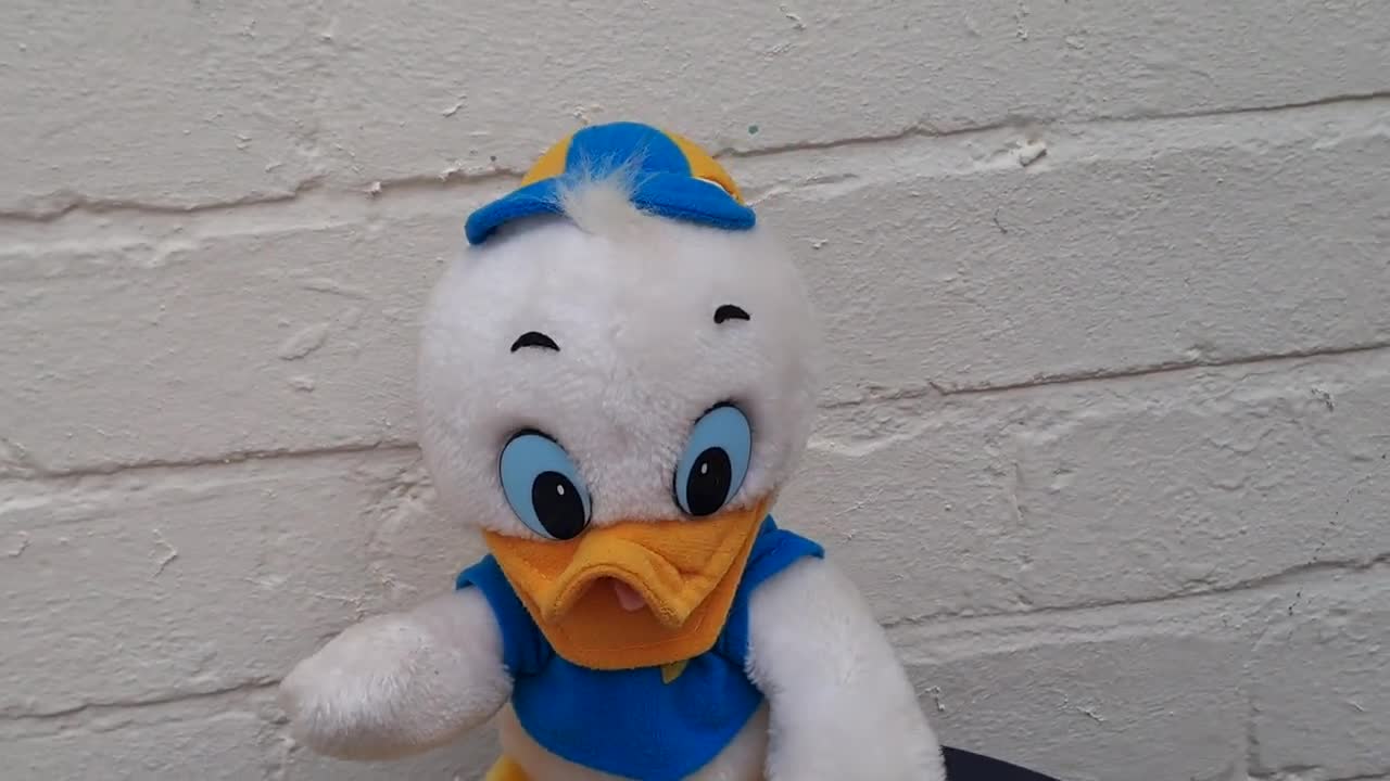 1980 年代のビンテージ ウォルト ディズニーランド ディズニー