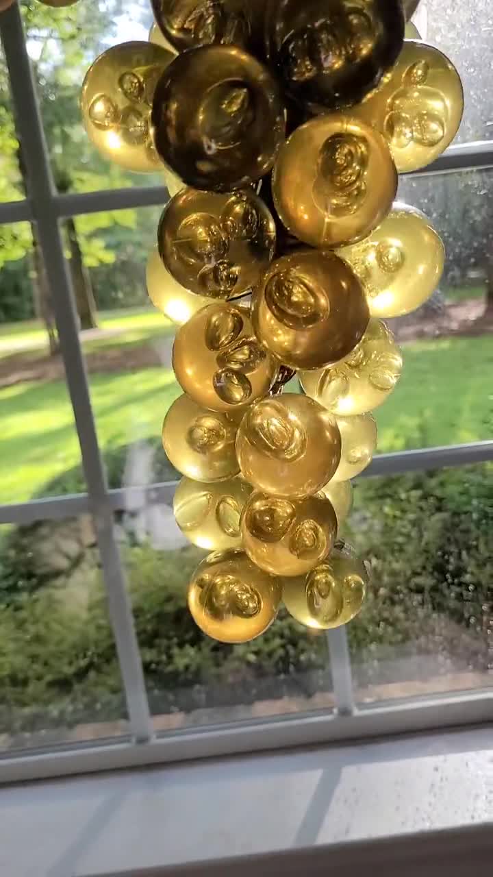 お父ちゃん 蔡自兴人工智能专家、IEEE 终身院士、中南大学教授