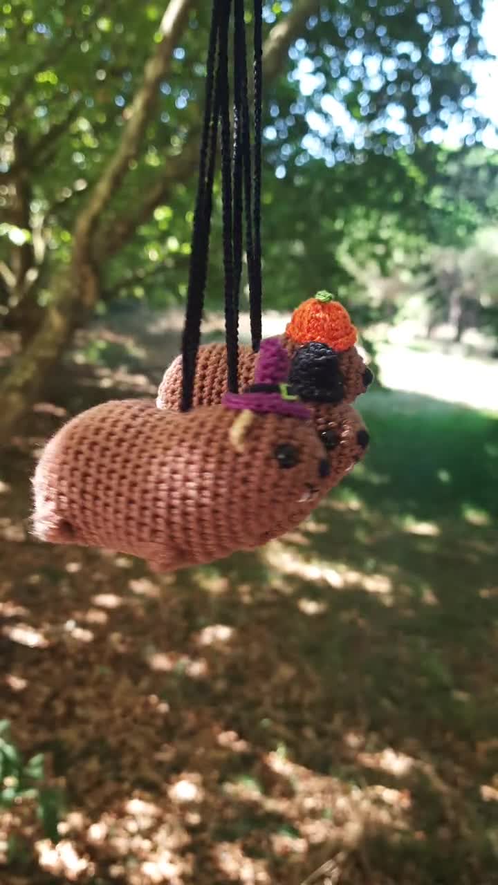 anarc of hex  Harvest (haroshi)　キーホルダー anarc of hex Harvest (haroshi) キーホルダー 【公式通販】