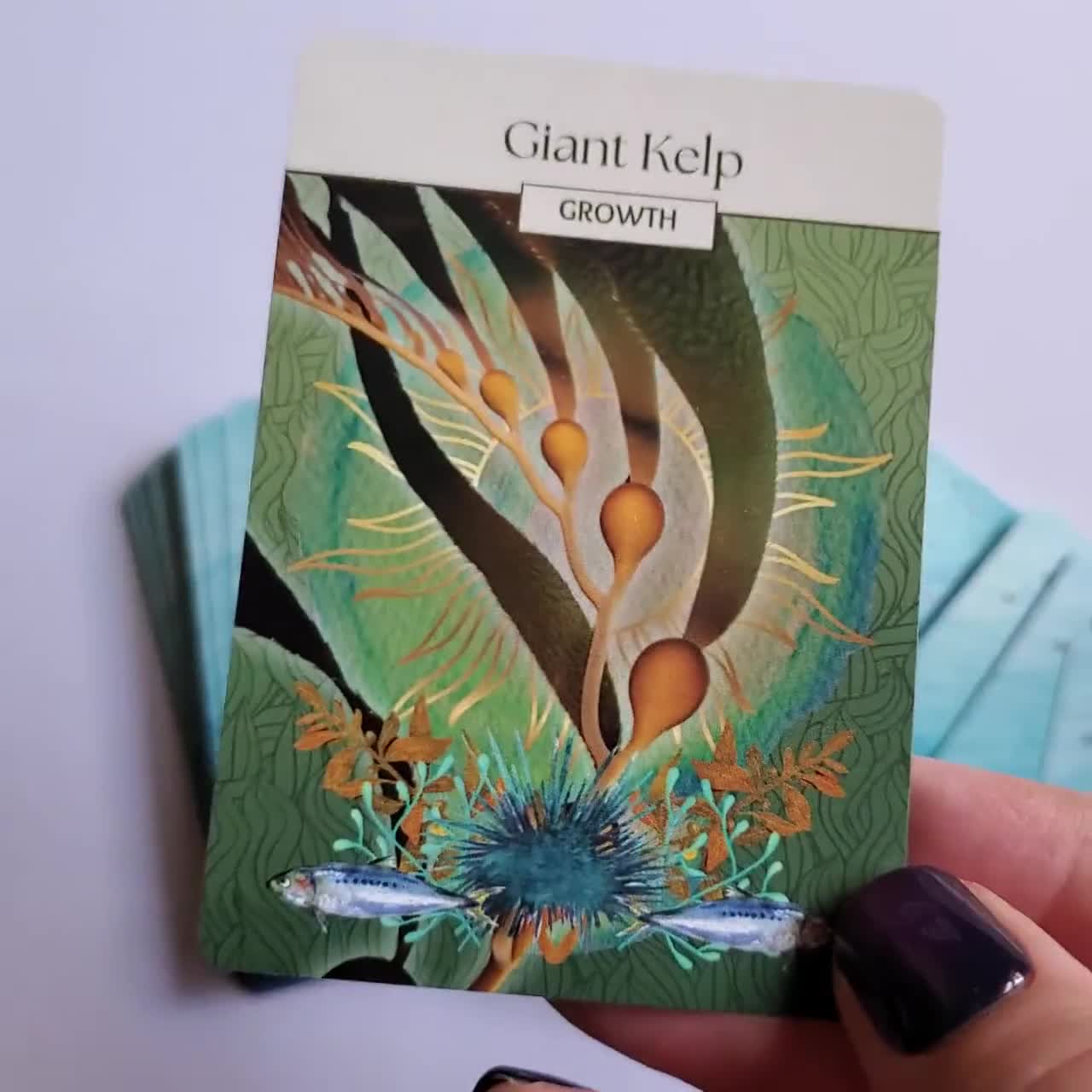 Coastal California Oracle – 54 Card Ocean & Wildlife Inspired Deck