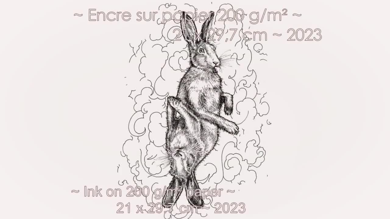 Martinefa's Original Zeichnung (Tinte) - "HARES" - Einzelstück - französischer Künstler video poster