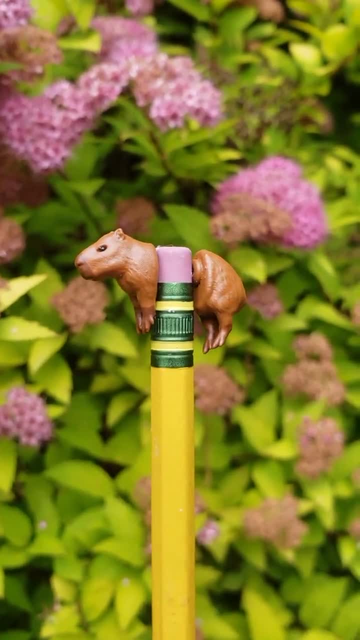 2023 neue Mode Cartoon Capybara Tiere Edelstahl Ohr stecker hand gefertigte  Epoxy Acryl Ohrringe - AliExpress