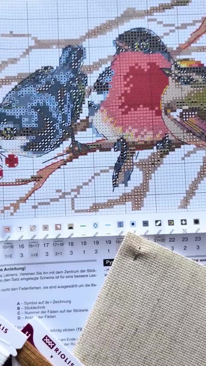 Kit Point De Croix 11CT 30x30 Cm Oiseaux Colorés Pré-Imprimé - Complet Pour Débutants Adultes Loisirs Créatifs