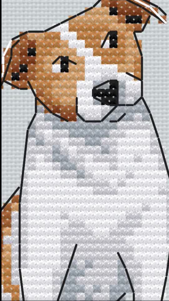 Eiialerm Kits De Point De Croix Pour Adultes Chien Épagneul Springer Anglais DIY De Broderie Estampillés Pour Kit,11CT Debutant Kits De Au Point De