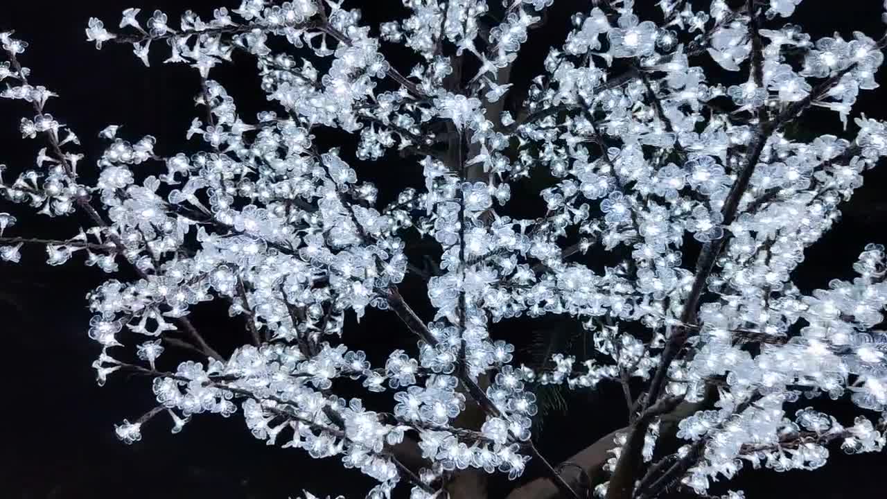 Milk‐tree♡ Amazon.com: B&LHCX Cherry Bonsai Tree Building Sets for