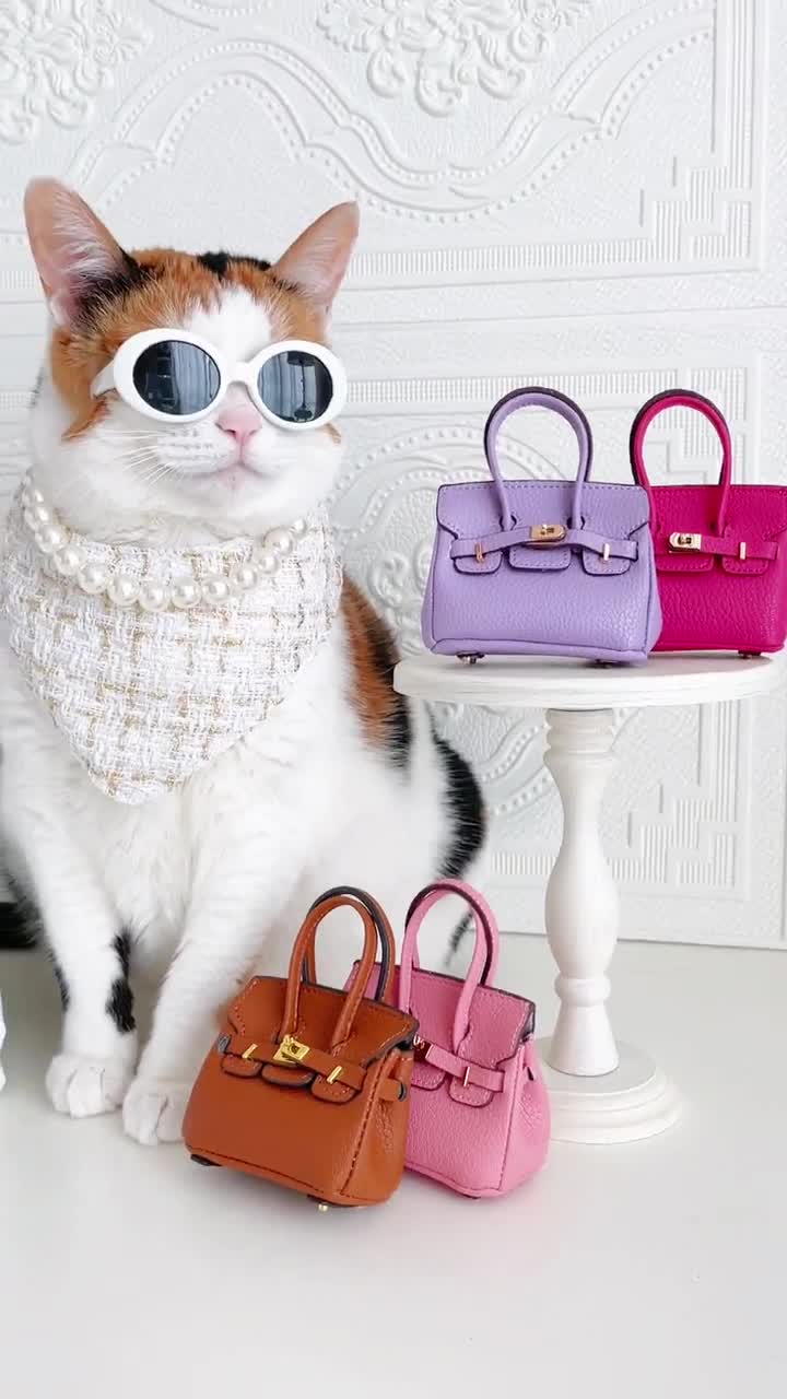 Mini Bag Purse Toy for Cat Dog Pet Doll House Fashion Costume 