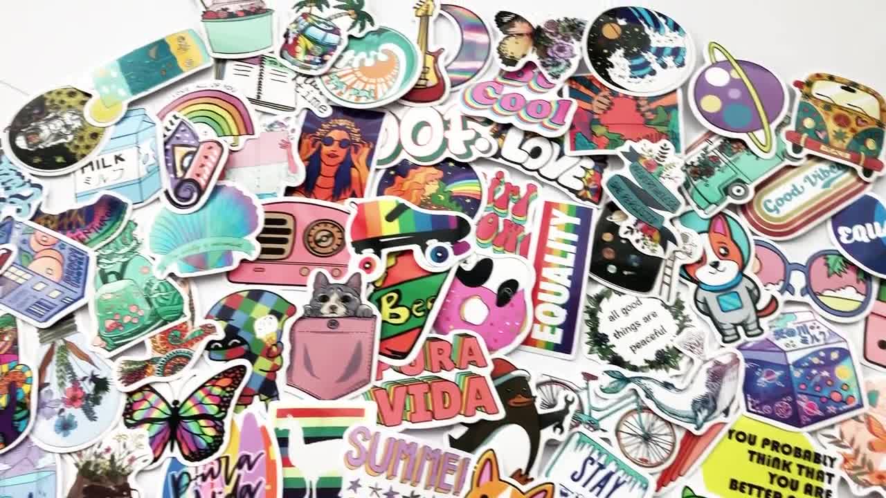 100 Cool Mixed Colors Sticker Lot Fun Pack Skateboard Laptop Car Decals 