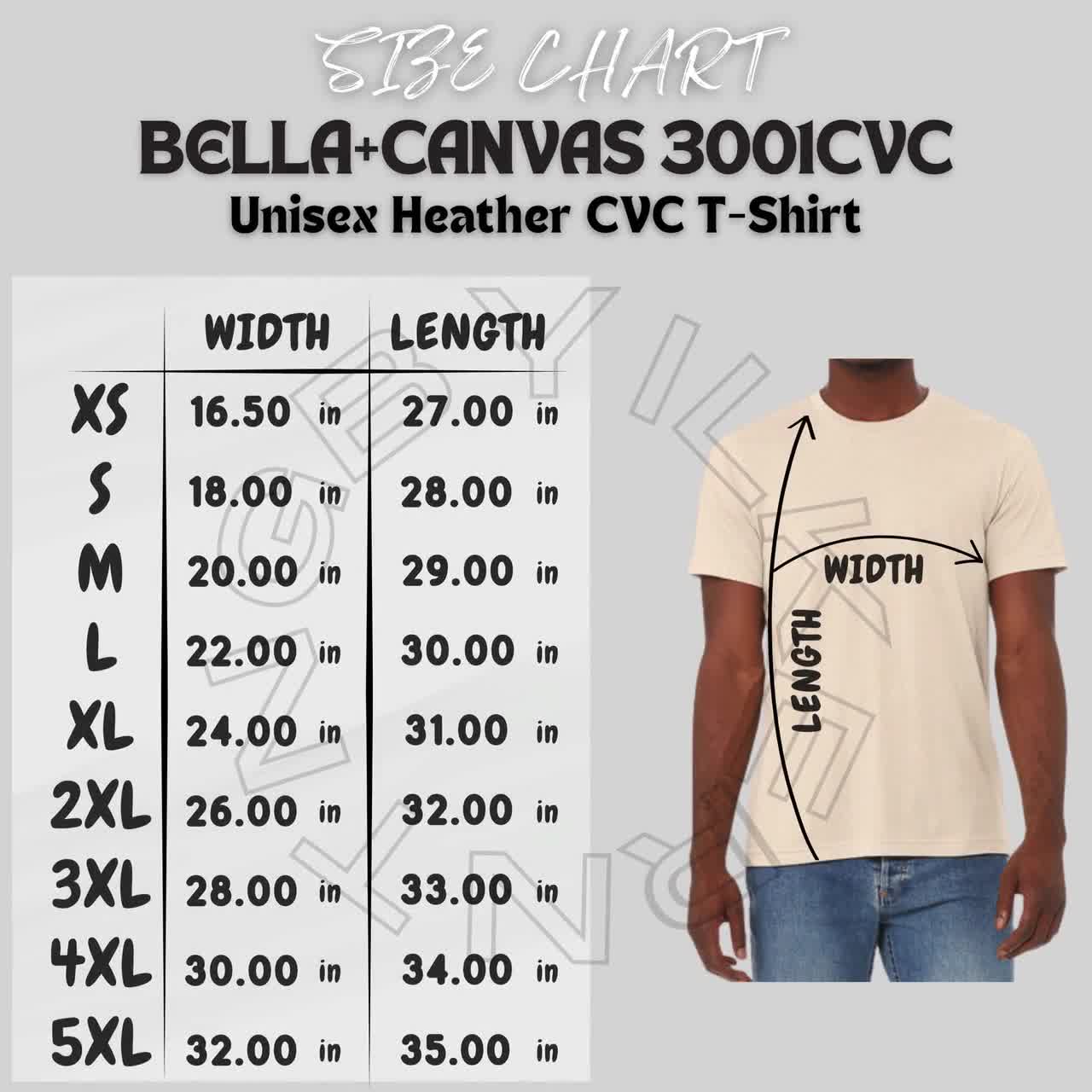 3001cvc_VD_FLG_nefxnz.jpg