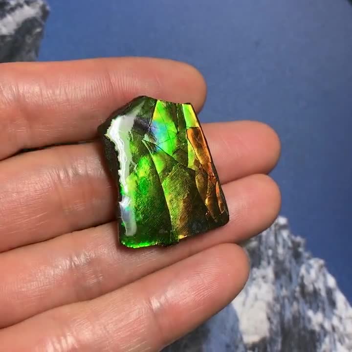 アンモライト宝石 – カナダ産天然化石宝石 カナダ産アンモナイト自由形