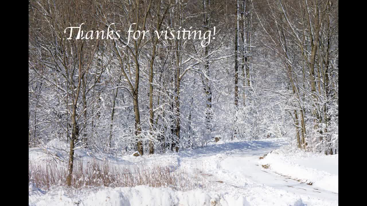 Winter Landscape Photo: Snowy Wisconsin Walking Trail (digital