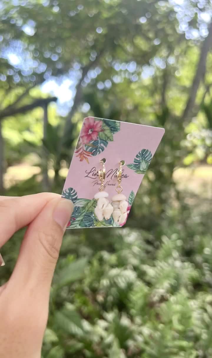 ニイハウ貝、モミ、ハワイアンシェル、ニイハウ貝ジュエリー、ハワイ