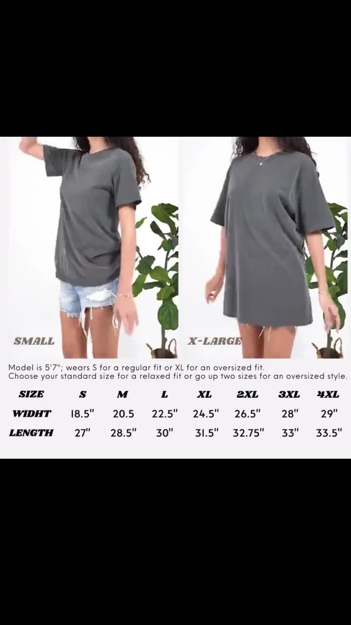 Retro Disney Zootopia 2 Shirt, Nick Wilde Incognito Judy Hopps Hop-timist Tee, Disneyland Family Trip Shirt, Zootopia Couple Fan Gifts video poster