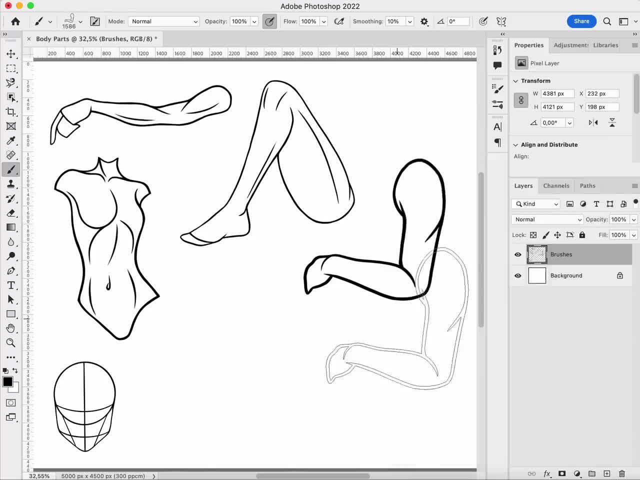 30 Photoshop Körperteile Pinsel, Adobe Fresco Hand Pinsel, Körperstempel, Adobe Photoshop Gliedmaßen Pinsel, Photoshop Bein Pinsel, Kopf Pinsel video poster