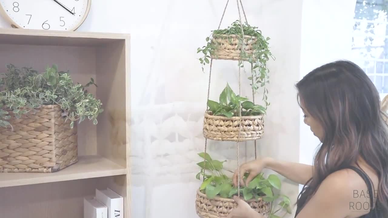 Cestas de mimbre como maceteros  Indoor plants, Plant decor, Natural home  decor