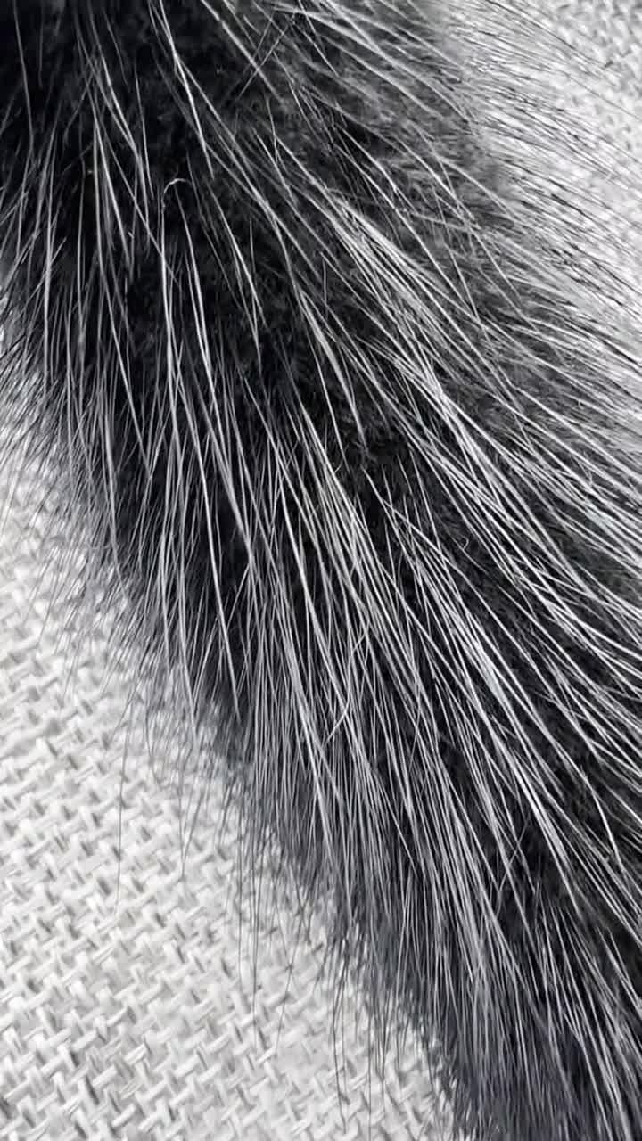 本物のミンクのしっぽ：柔らかい毛皮のアクセサリー、コスプレ用品（10