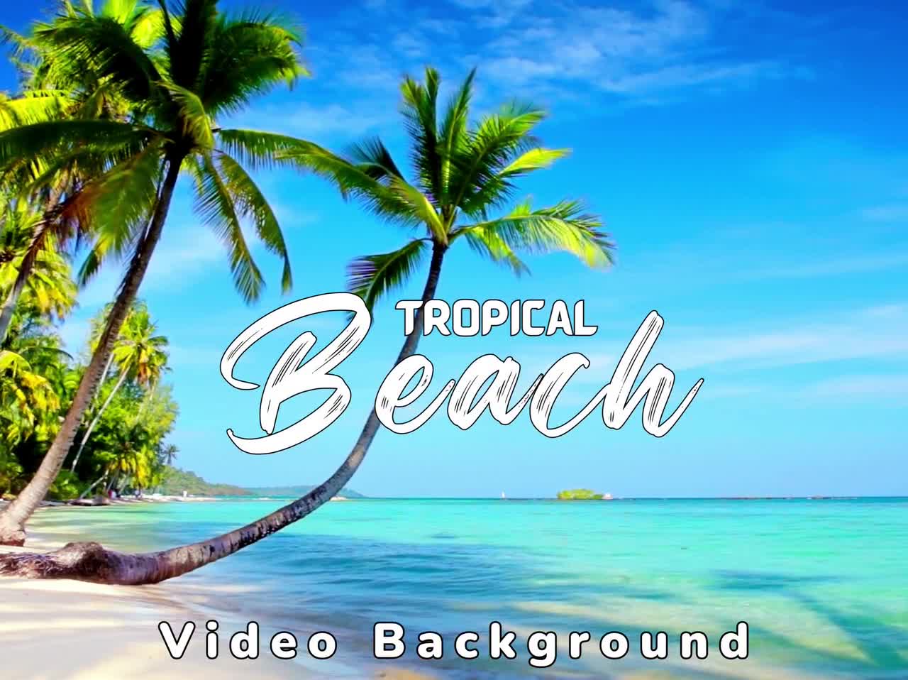 Beach Animated Virtual Background Zoom Background Video, 56 OFF