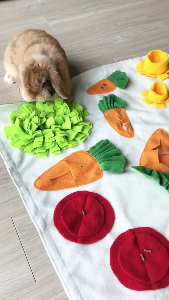 Carrot Snuffle Mat Puzzle Feeding Mat Activity Mat for Rabbit