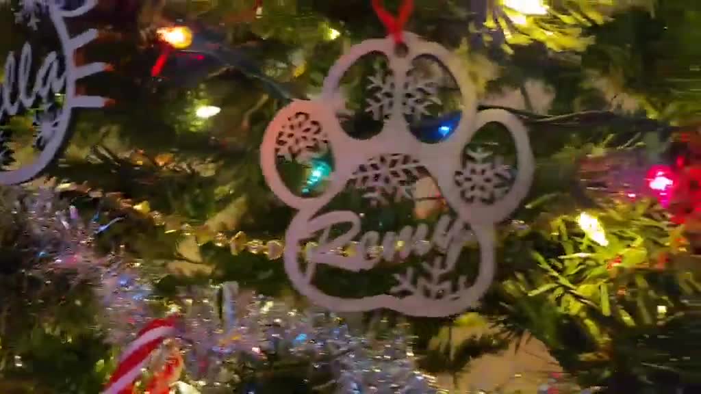 Personalized Pet Memorial Ornament: Custom Dog Paw/Cat Face Rearview Mirror charm video poster