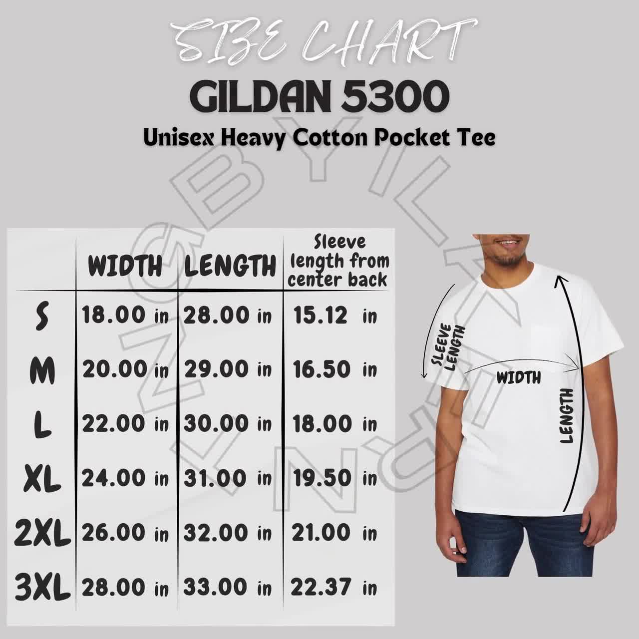 Gildan 5300 Size Chart | Gildan 5300 Mockup and Size Chart+color