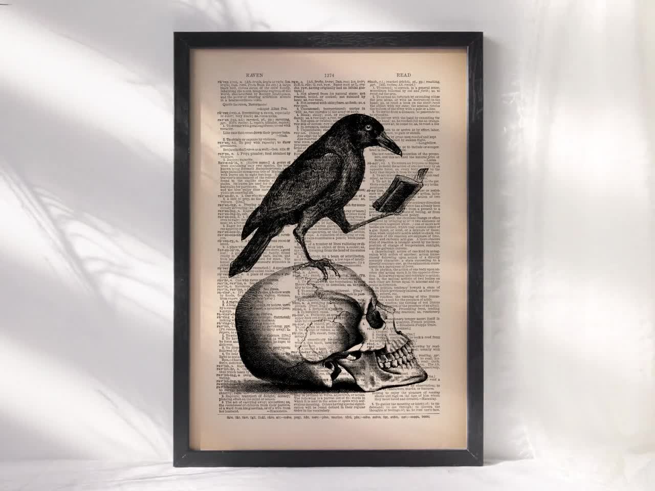 Edgar Allan Poe Inspired Gothic Throw Pillows Ravens Skulls 