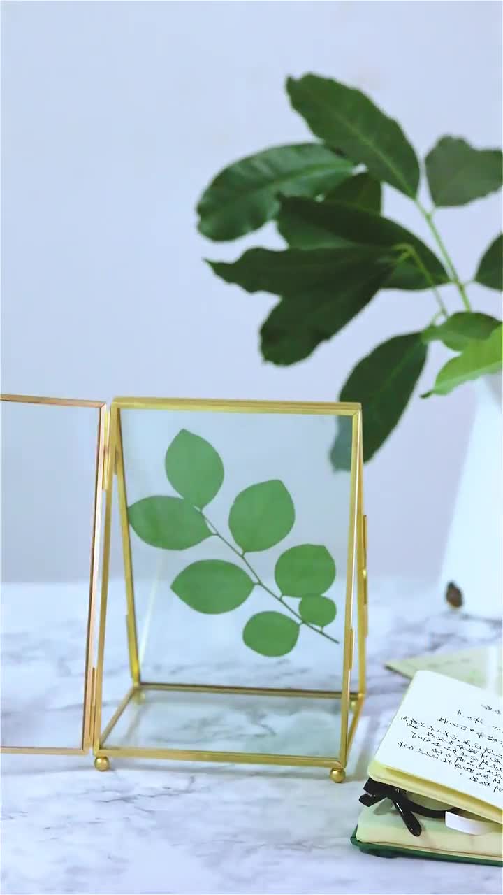 5x7 Brass Gold Tabletop Vintage Frame Geometric Ornament Plant Specimen  Clip Modern Decor Card Holder 2-Folded Reception Engagement