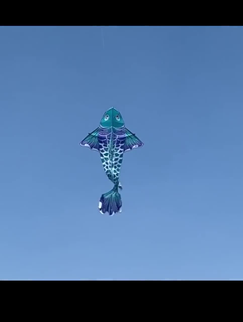 Chinese Fish Kite