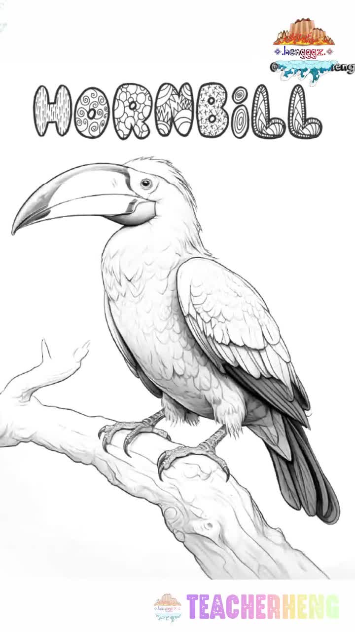 60 hojas para colorear de animales omnívoros / Páginas imprimibles divertidas con temática de animales / Actividad relajante para todas las edades / PDF inspirado en la vida silvestre y la naturaleza video poster