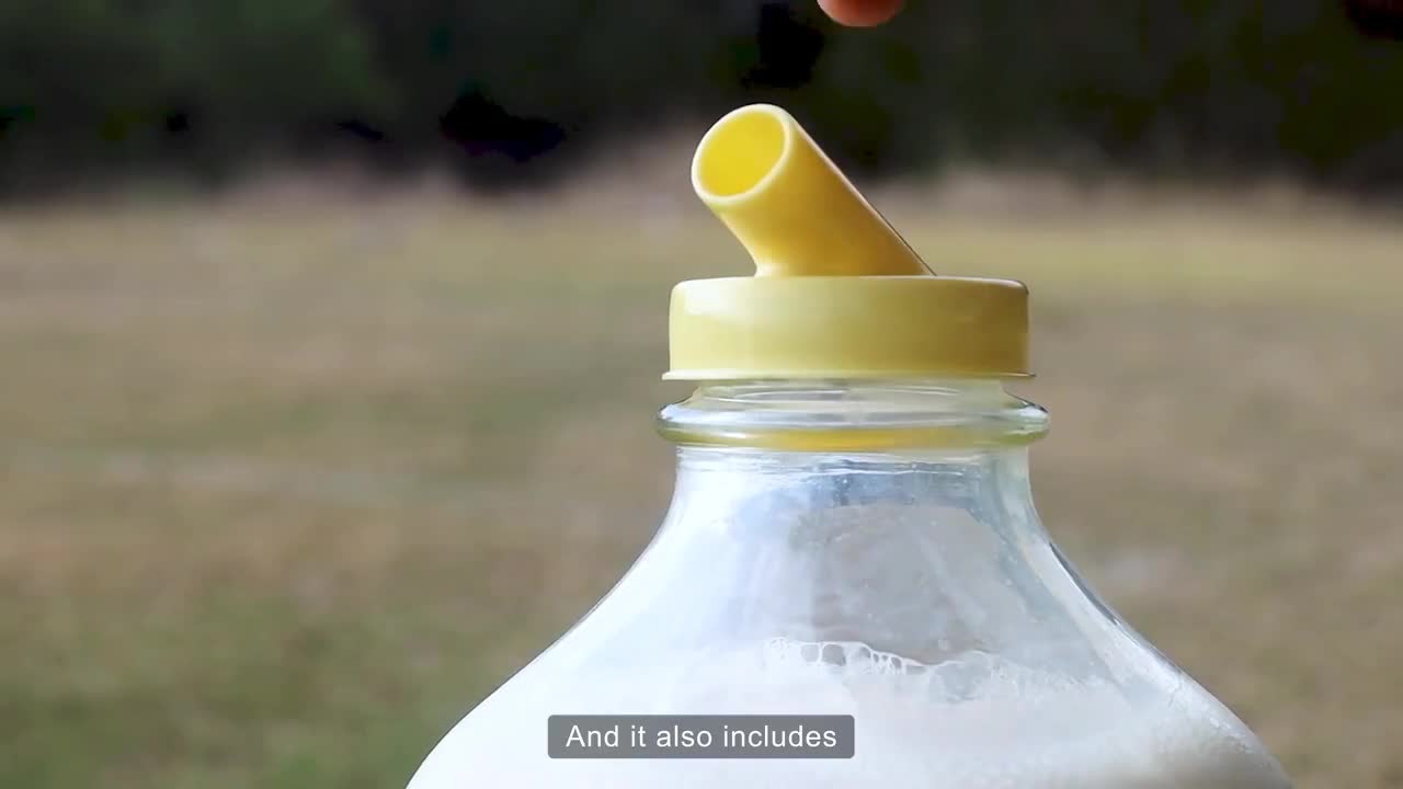 kitchentoolz 64 Oz Glass Milk Bottle with Lids, Half Gallon Milk