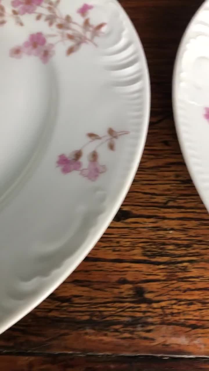 Haviland Limoges 花柄葉型皿 6枚セット Antique Haviland & Co. Limoges Oyster Plate, Floral | eBay