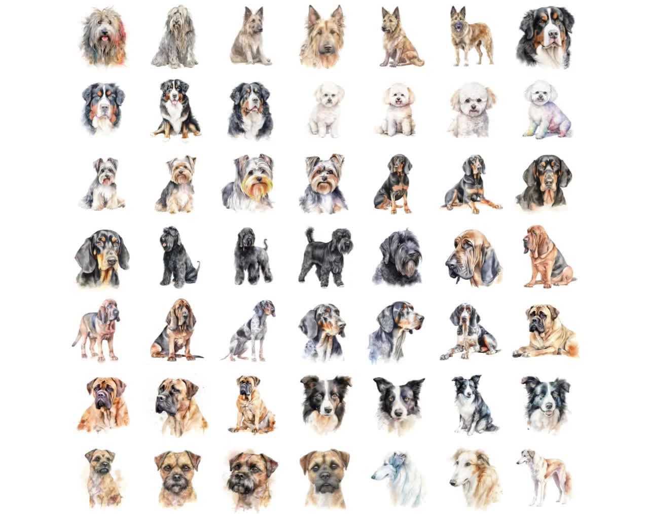 Ultimate Dog Breed Bundle: 750 High-Quality Transparent PNG Watercolor Dog  Images – Perfect for Crafting, Digital Art, and Design Projects