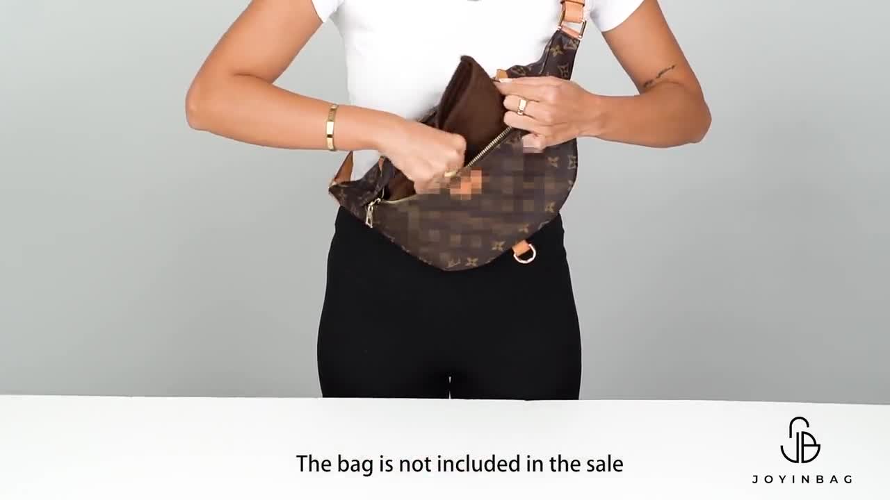 Purse Organizer for All-in Bag Tote Bag Organizer Designer Handbag