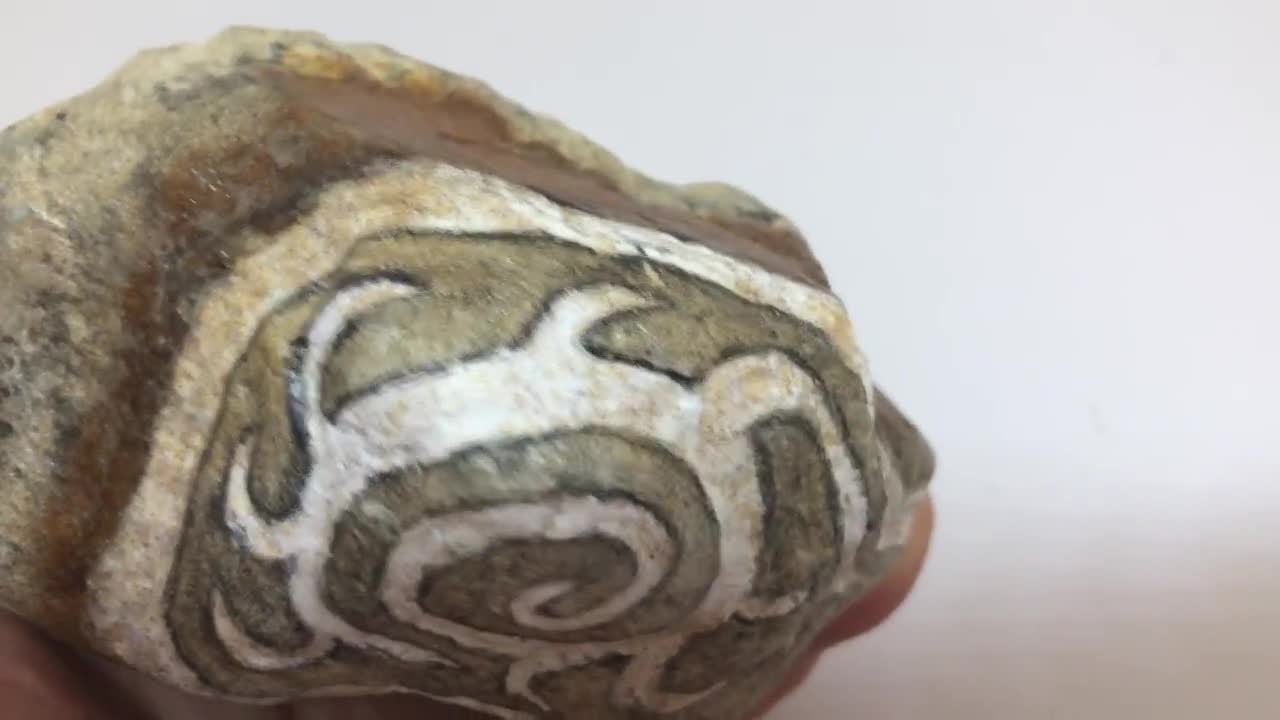 インディアン 鉱石絵画 アメリカの歴史。スペイン人が金鉱を開拓。インディアンは入植者