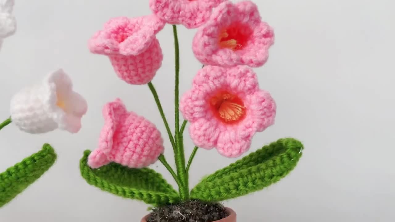 Women Flower Crochet Kit Rose Daisy Lily Tulip Flower Pot Potted Craft Kit  for Beginner Creative Handmade Craft Gift Home Decor - AliExpress