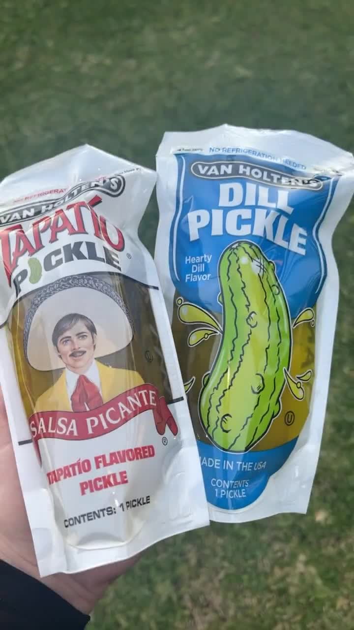 Van Holten's Pickle in a Pouch - 4 Pack - Sour Algeria