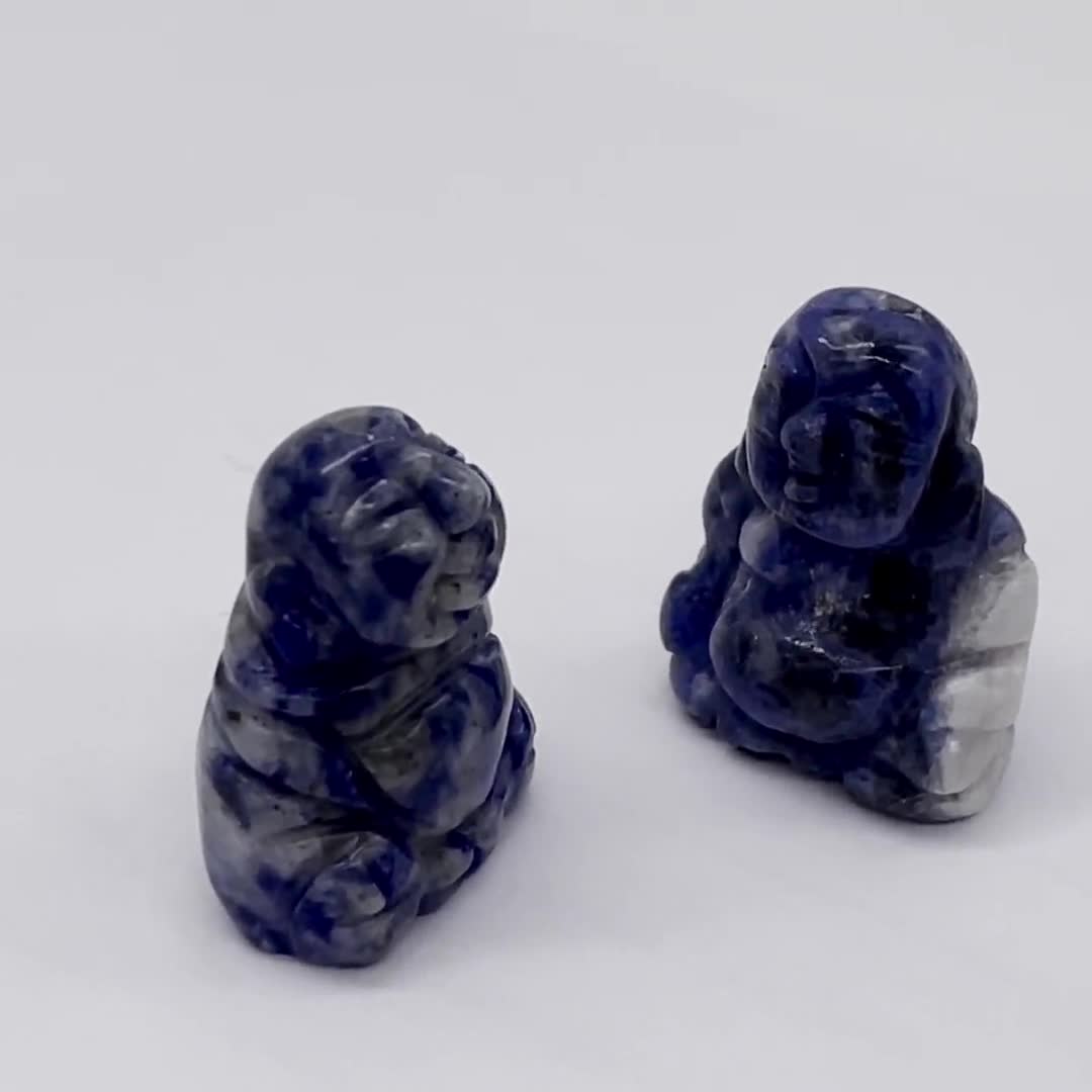 Nuts 2 Animal Sodalite Squirrel Animal Beads, 22x15x10mm, Blue