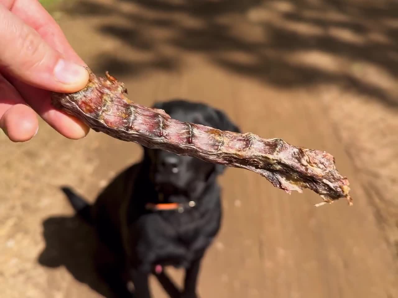 Duck Necks Natural Single Ingredient Chewy Digestible Low-Fat Dehydrated Dog Treats for Training, Rewarding, Teeth Cleaning video poster