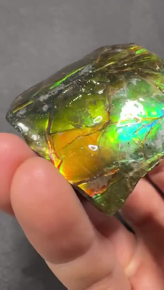 カナダ産アンモライト標本：宝石用虹色化石 - Etsy 日本