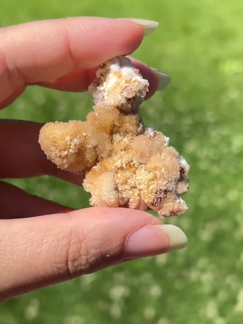 ポップコーン石膏とクリーダイト標本 / セレナイト - Etsy 日本