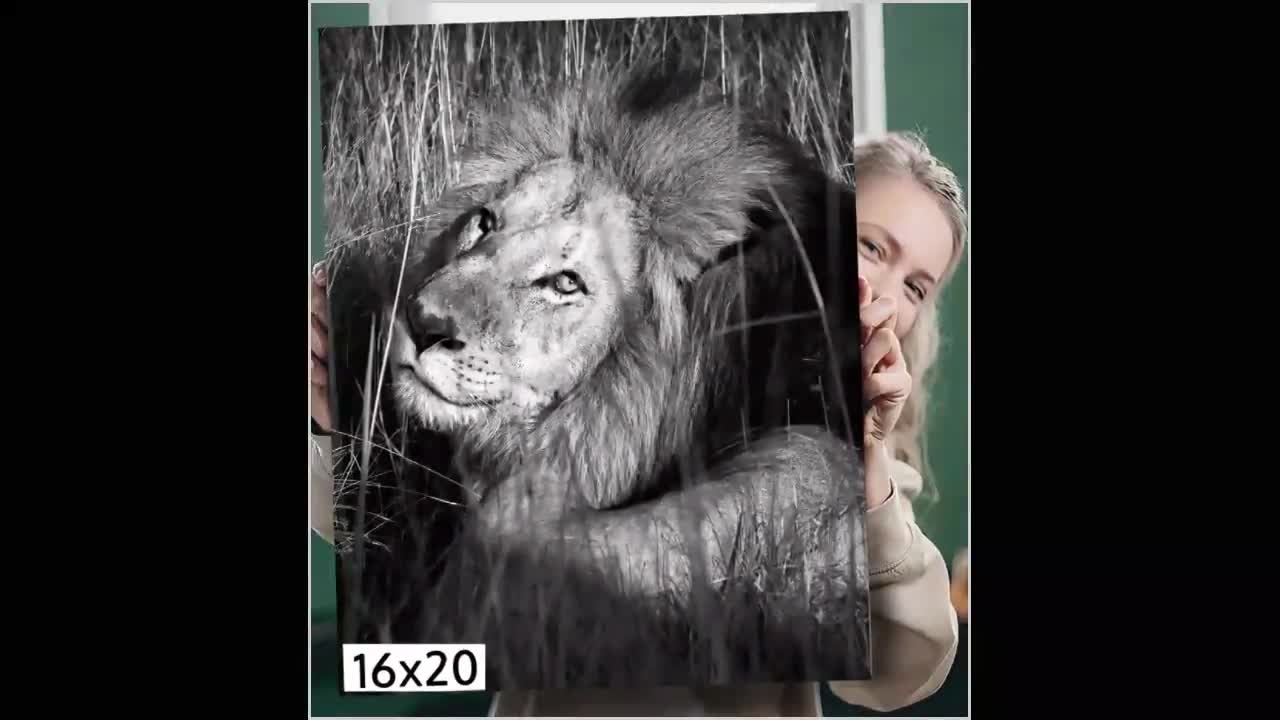 Arte da parete su tela con leone, ritratto di leone maestoso tra stampe su  tela selvagge, leone sudafricano animale in bianco e nero per l'ufficio o  la decorazione della stanza di casa 