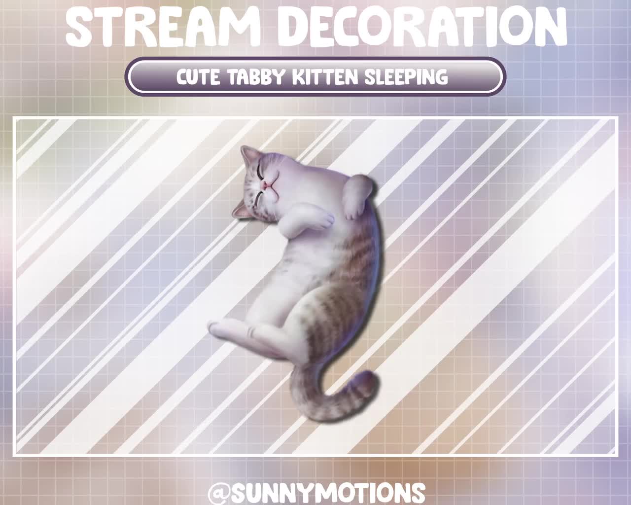 Animated Stream Decoration Animal Tabby Kitten Sleeping / Lofi Aesthetic  Cute Kitty / Moon Cat Animation / Meow Add-on Kawaii Twitch Overlay