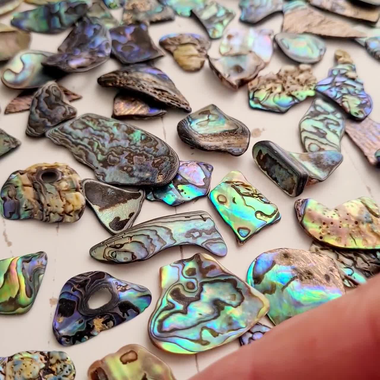 Abalone Paua NZ Shell Pieces 40g / Approx 20 Pcs of Irregular